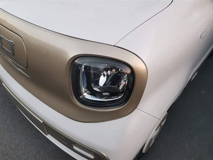 Фото 24 - Bestune Pony