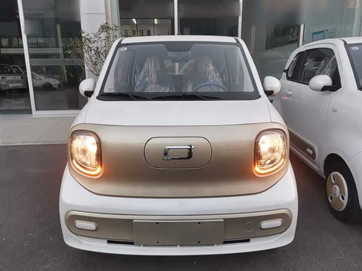 Фото 3 - Bestune Pony