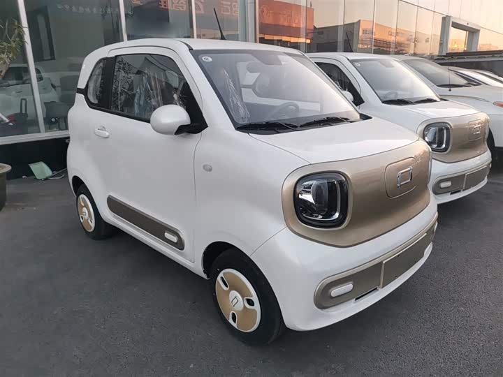 Фото 4 - Bestune Pony