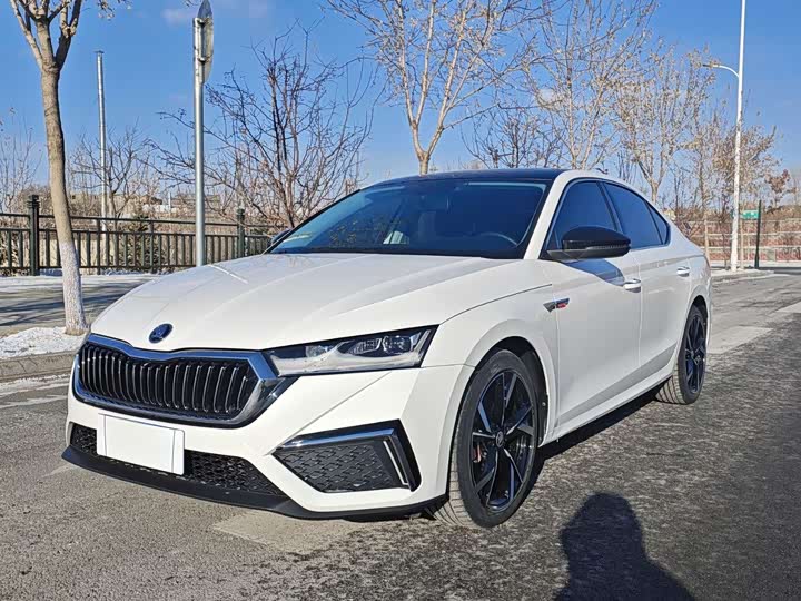 Фото 1 - Skoda Octavia Pro