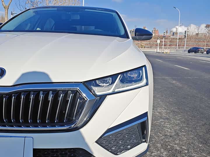 Фото 10 - Skoda Octavia Pro