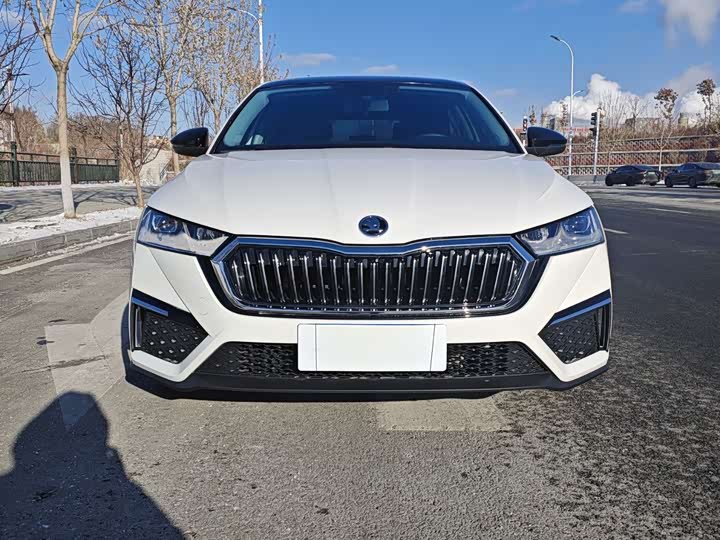 Фото 2 - Skoda Octavia Pro