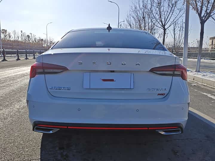 Фото 8 - Skoda Octavia Pro