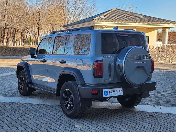 Фото 13 - Tank 300