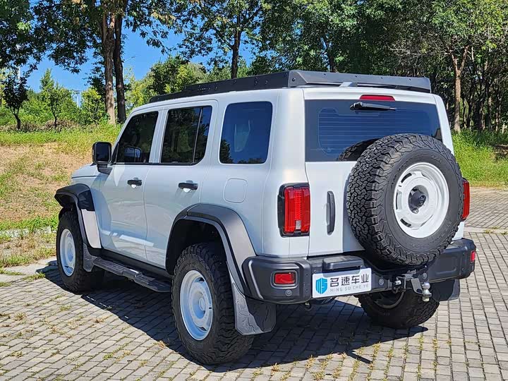 Фото 15 - Tank 300