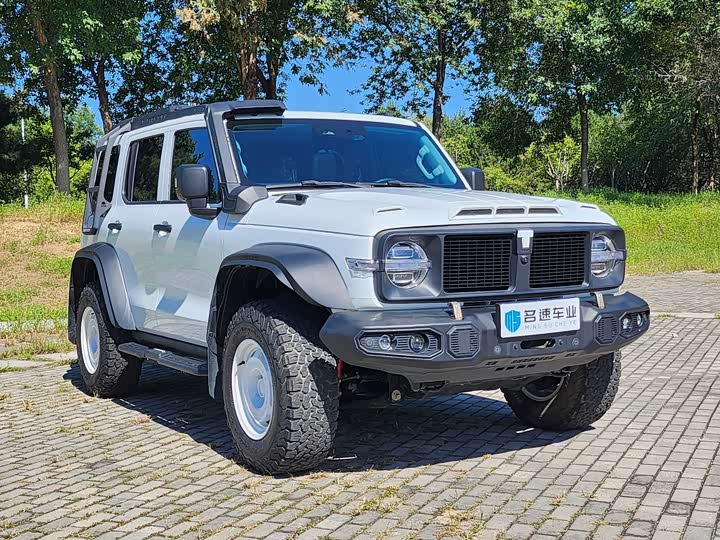 Фото 2 - Tank 300