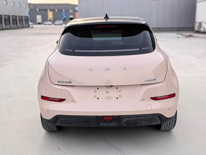 Фото 4 - Ora Good Cat (03)