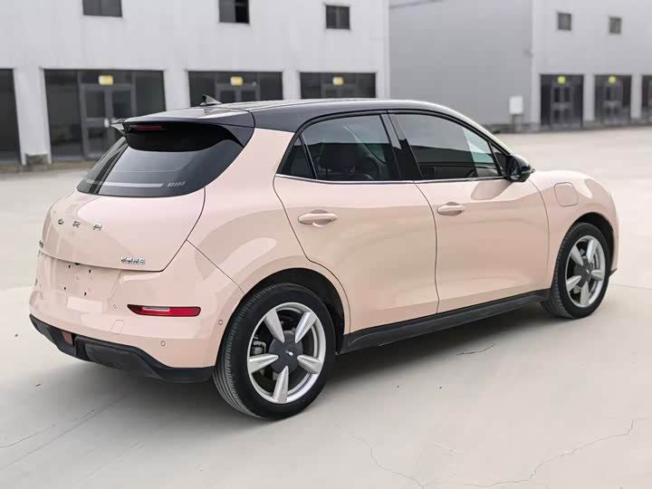 Фото 6 - Ora Good Cat (03)