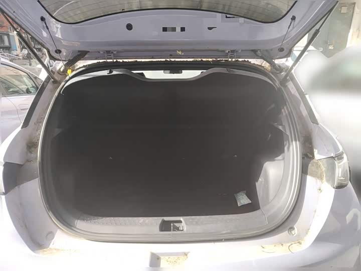 Фото 10 - BYD Dolphin