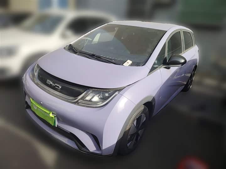 Фото 2 - BYD Dolphin