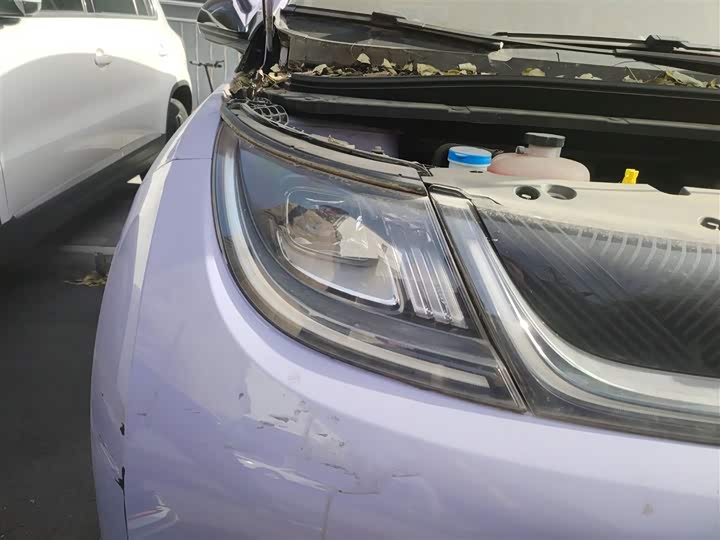 Фото 30 - BYD Dolphin