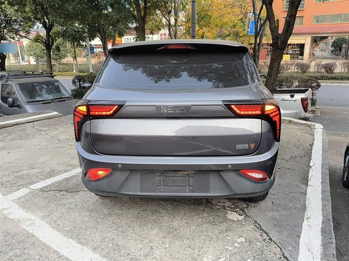 Фото 6 - Hozon V