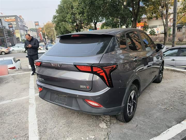 Фото 7 - Hozon V