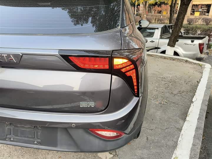 Фото 8 - Hozon V