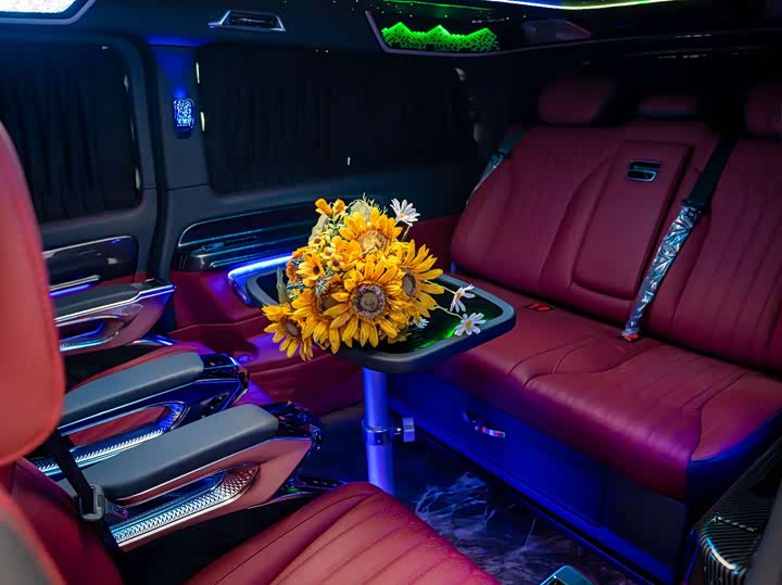 Фото 17 - Mercedes-Benz Vito