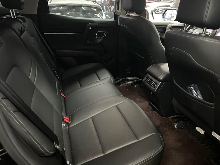 Фото 11 - Haval H-Dog