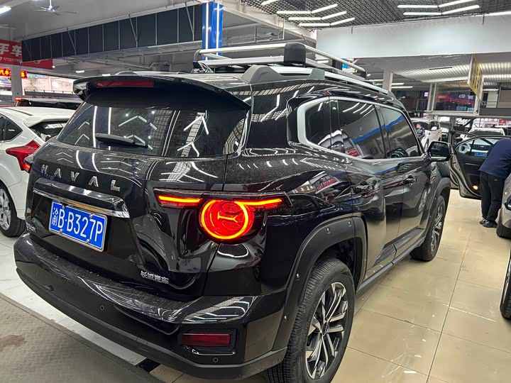 Фото 14 - Haval H-Dog