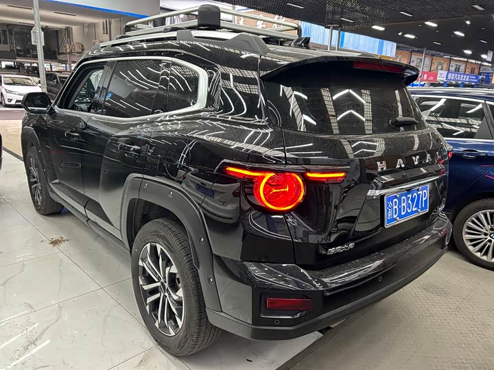 Фото 16 - Haval H-Dog