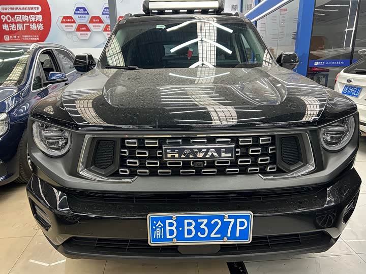 Фото 2 - Haval H-Dog