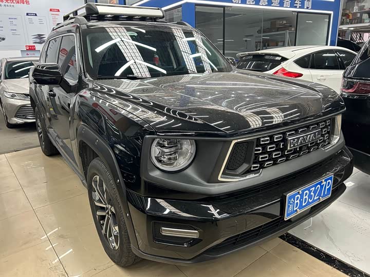 Фото 3 - Haval H-Dog