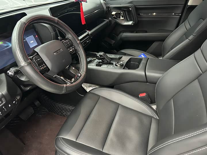 Фото 6 - Haval H-Dog