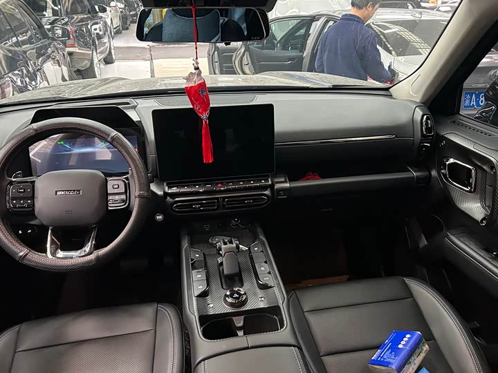 Фото 8 - Haval H-Dog