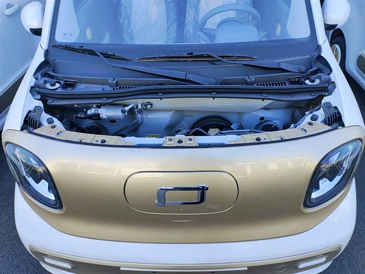 Фото 20 - Bestune Pony