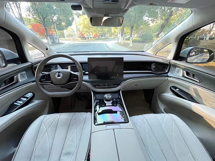 Фото 13 - Denza D9