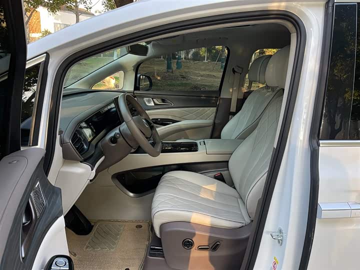 Фото 14 - Denza D9