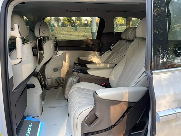 Фото 15 - Denza D9