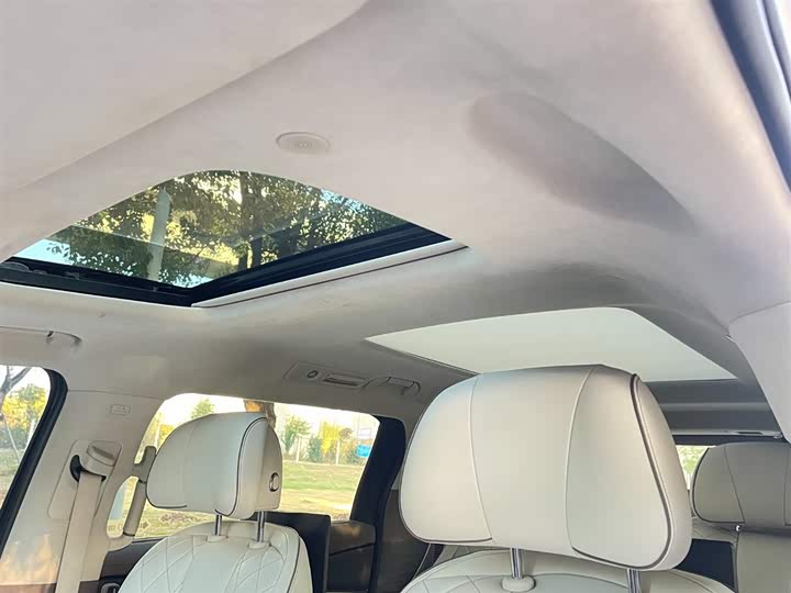 Фото 18 - Denza D9