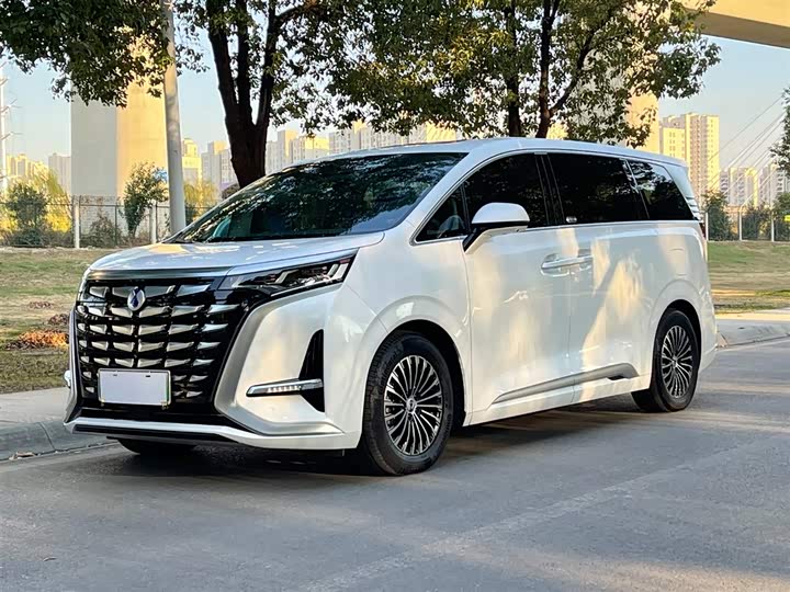 Фото 2 - Denza D9