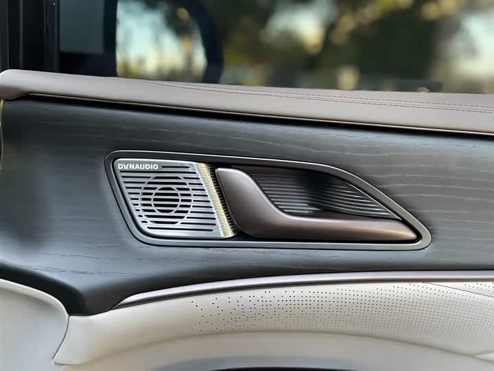 Фото 22 - Denza D9