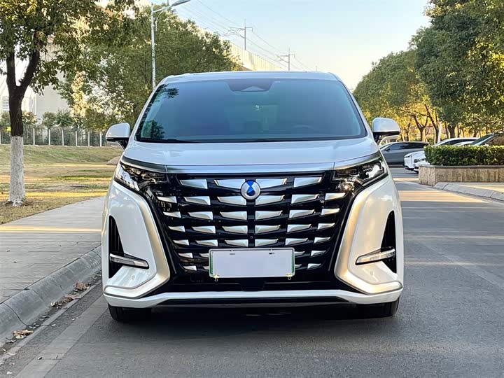 Фото 3 - Denza D9