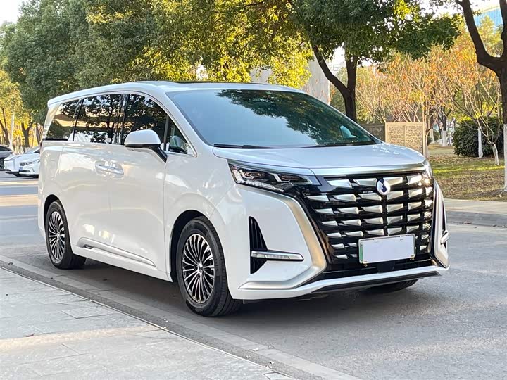 Фото 4 - Denza D9