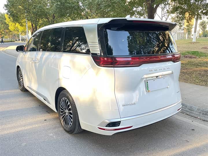 Фото 5 - Denza D9