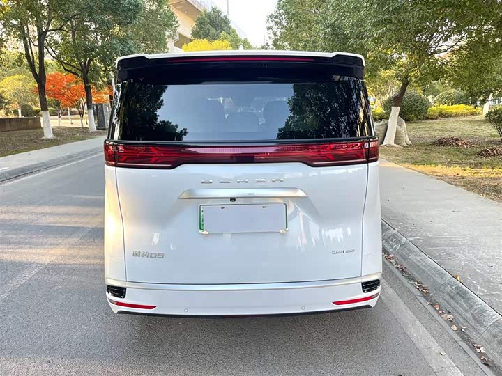 Фото 6 - Denza D9