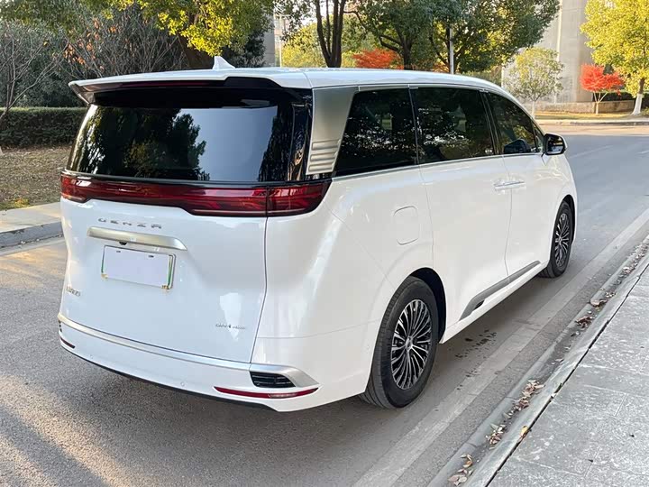 Фото 7 - Denza D9