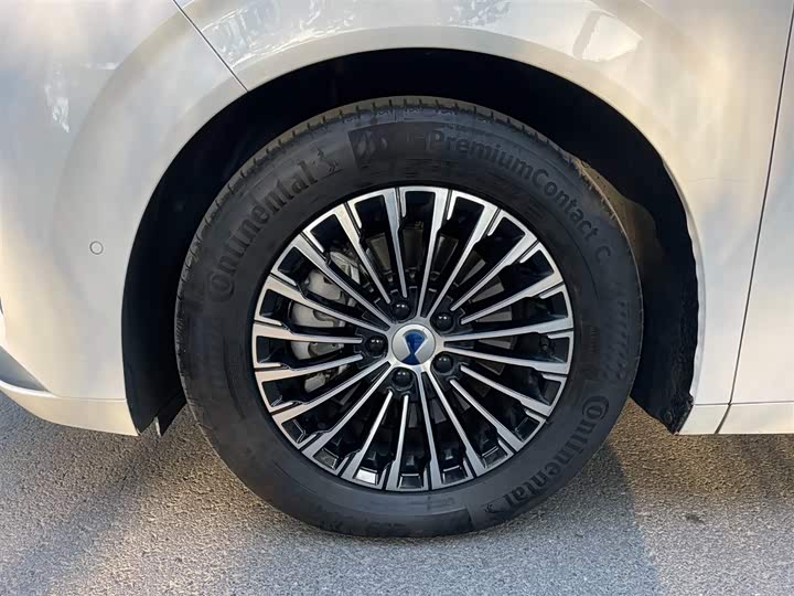 Фото 8 - Denza D9