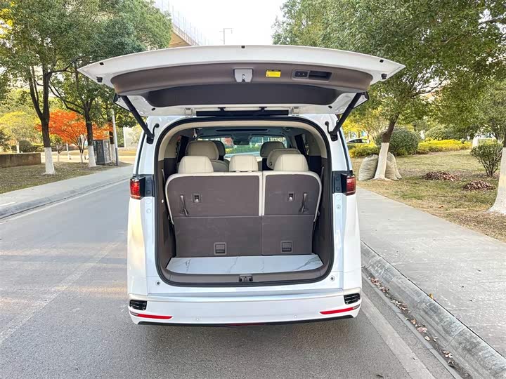 Фото 9 - Denza D9