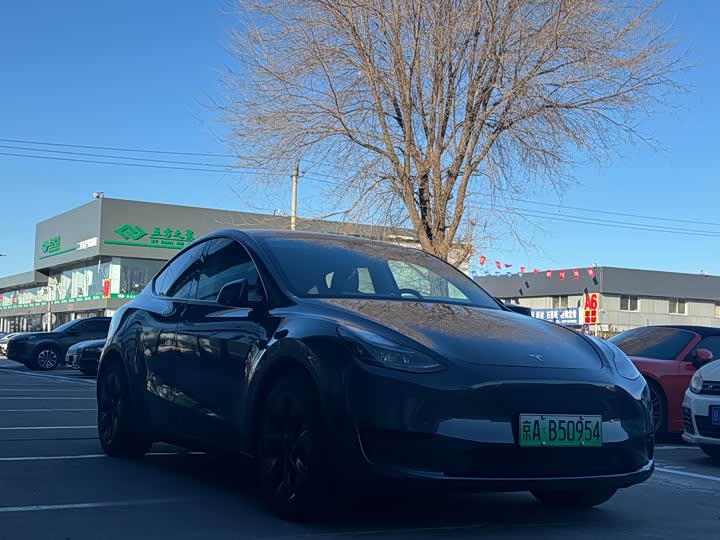 Фото 3 - Tesla Model Y