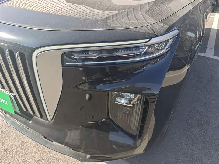 Фото 23 - Hongqi E-HS9