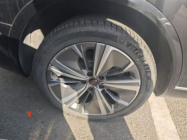 Фото 25 - Hongqi E-HS9