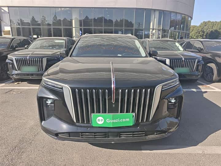 Фото 3 - Hongqi E-HS9
