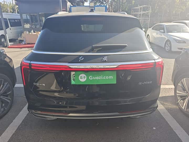 Фото 6 - Hongqi E-HS9