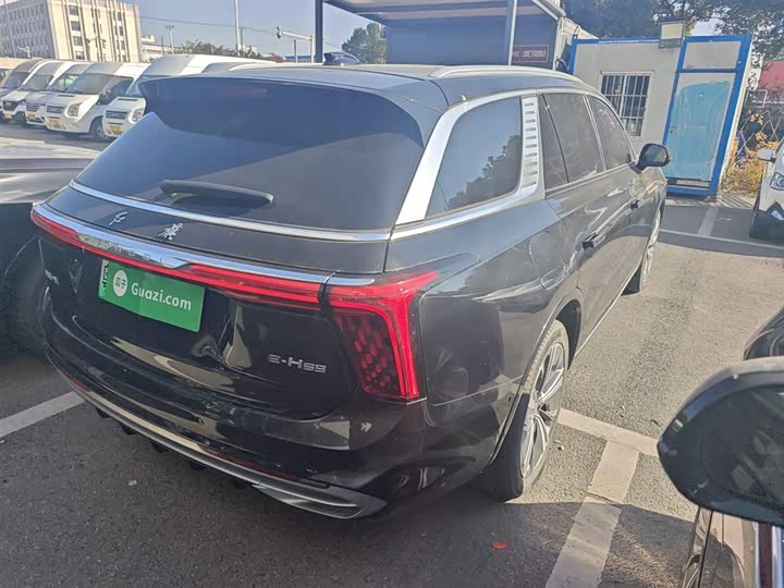 Фото 7 - Hongqi E-HS9