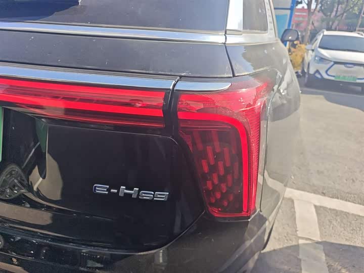 Фото 8 - Hongqi E-HS9