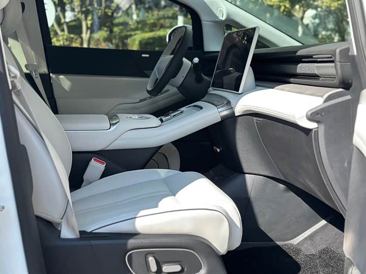 Фото 12 - XPeng X9