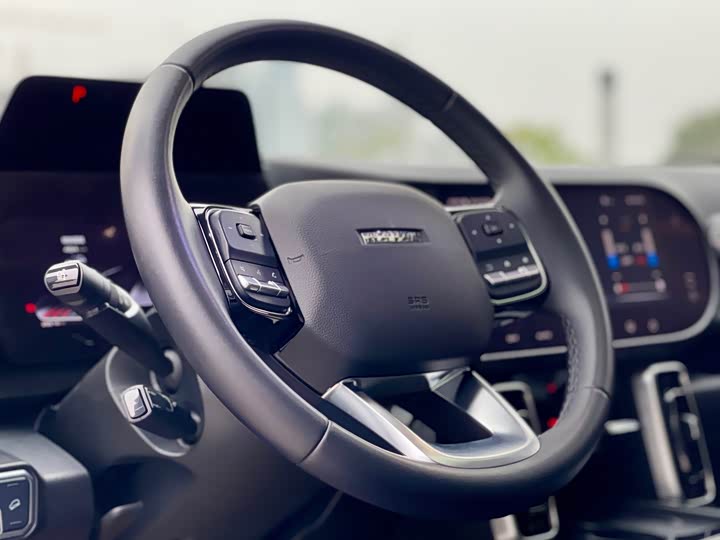 Фото 14 - Haval Dargo