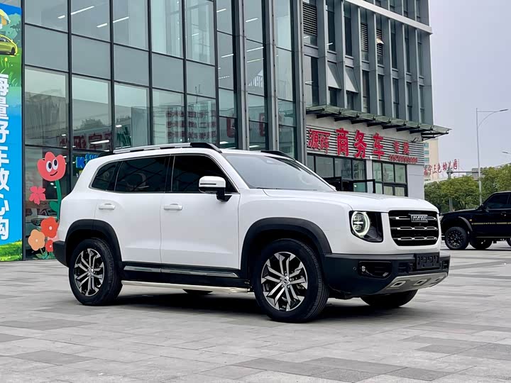 Фото 3 - Haval Dargo